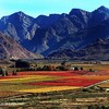 South African landscape